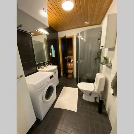 Bright City With Own Private Sauna * Rovaniemi